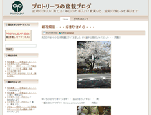 Tablet Screenshot of bonsai.blog.protoleaf.com